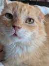 Walter McFluffy - Photo 2