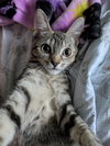 Stormy - Photo 3