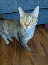 Stormy - Photo 2