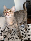 Stormy - Photo 3
