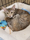 Hope (JCM) - Photo 1