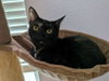 Georgie - Photo 3