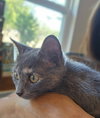 Heidi - Photo 3