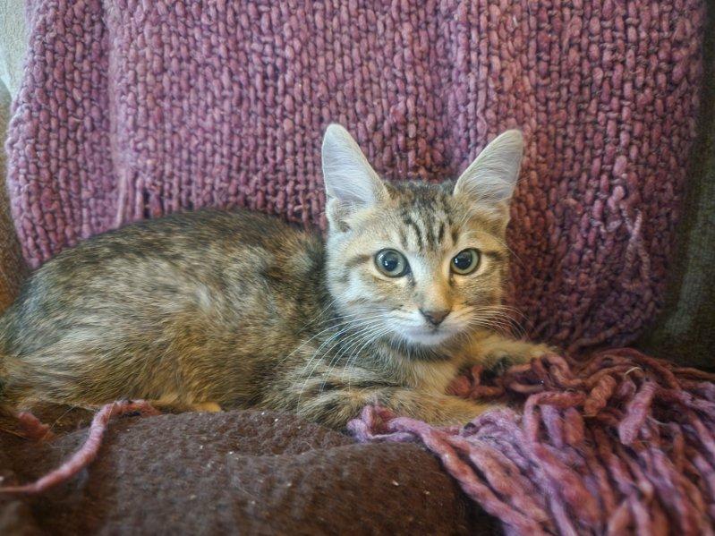 Lilly Mae Image