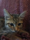 Lilly Mae - Photo 2