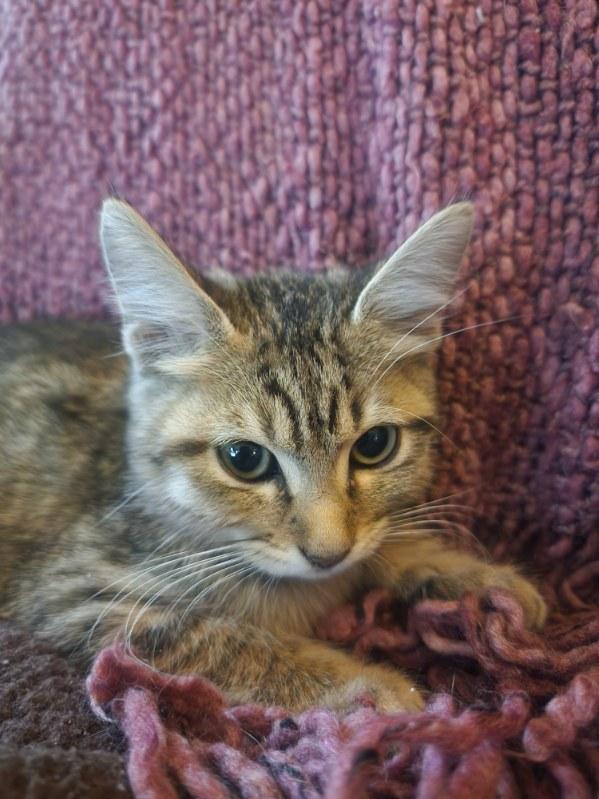 Lilly Mae