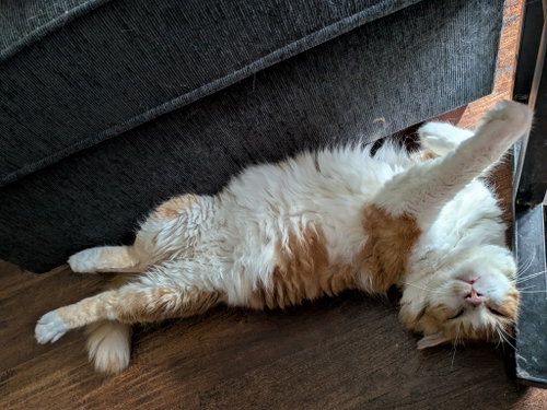 Photo 2 of Arlo