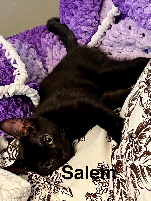 Salem