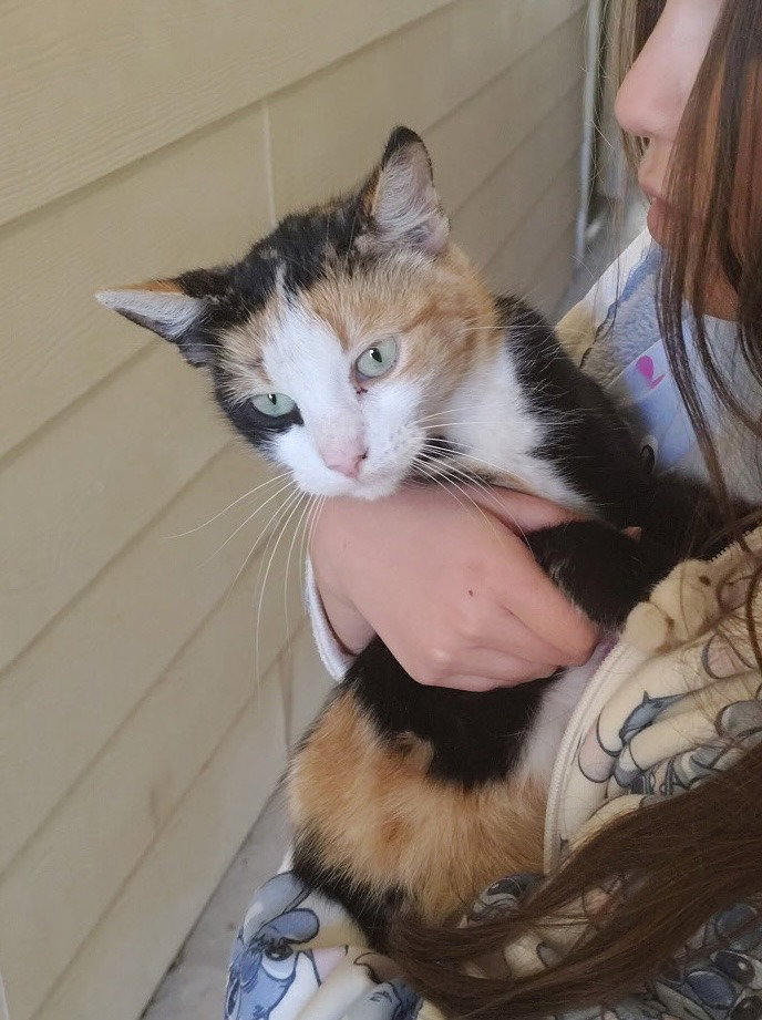 Cally Image