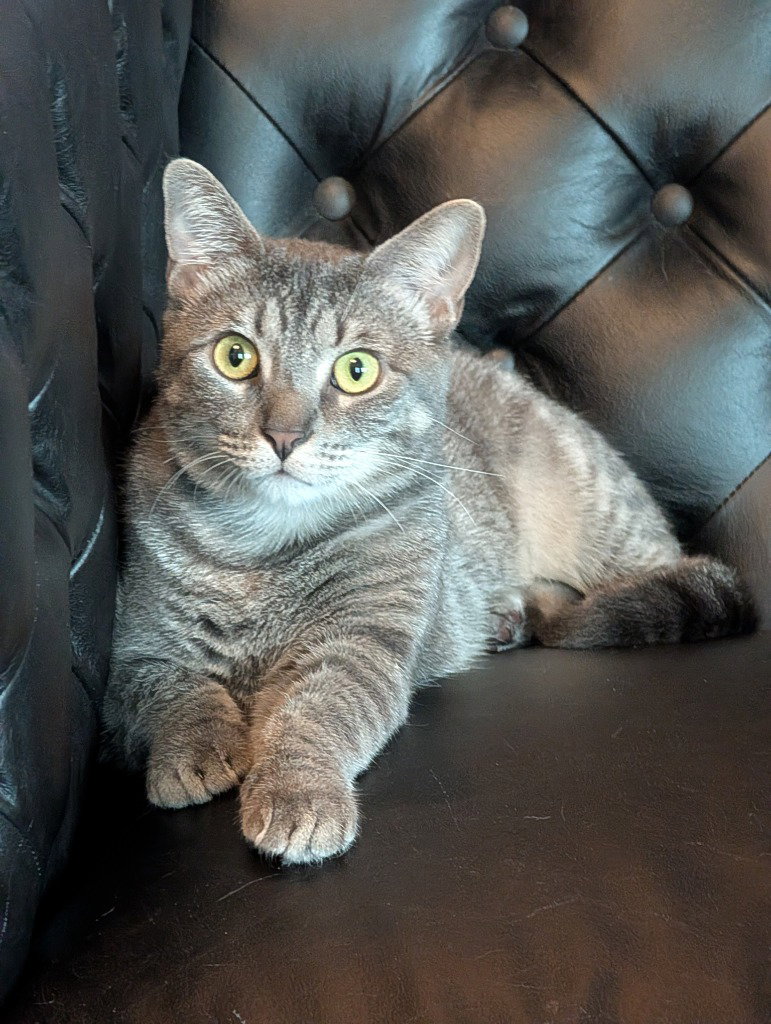 Chloe Image