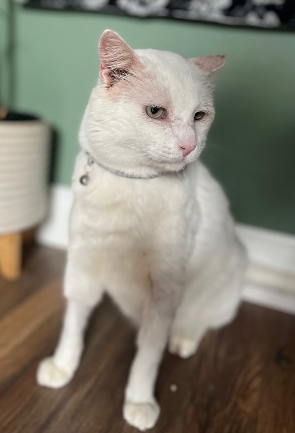 Theodore