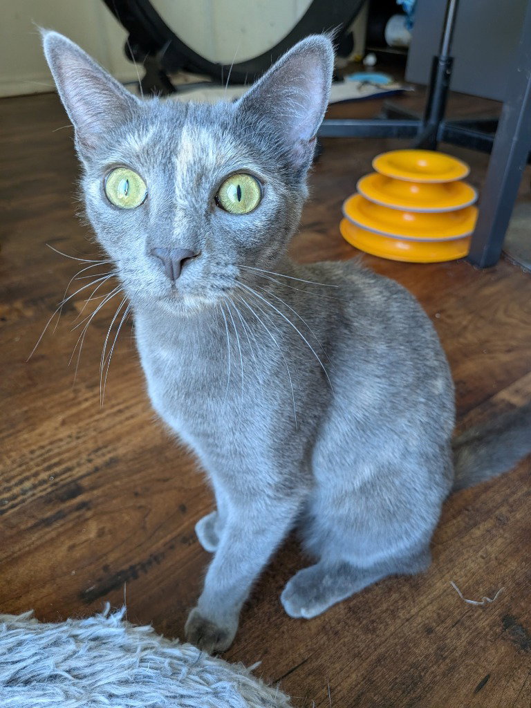 Veruschka Image