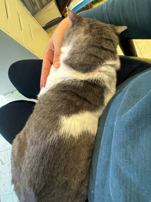 Sleepy