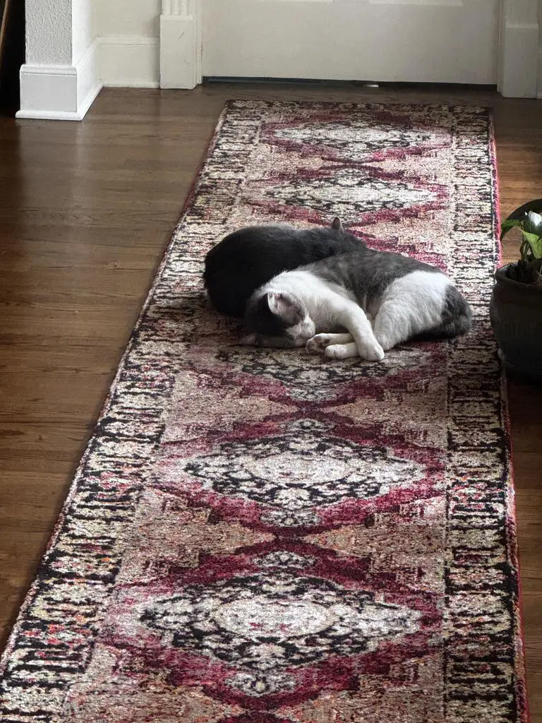 Sleepy image 3