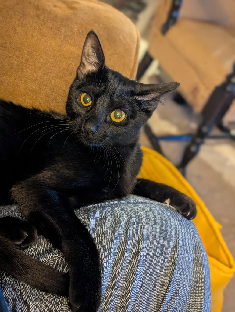 Coal Image
