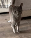 Nox - Photo 1