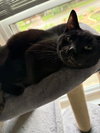 Blackson - Photo 2