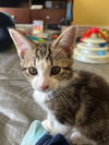 Murphy - Photo 2