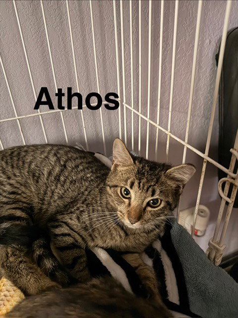 Athos Image