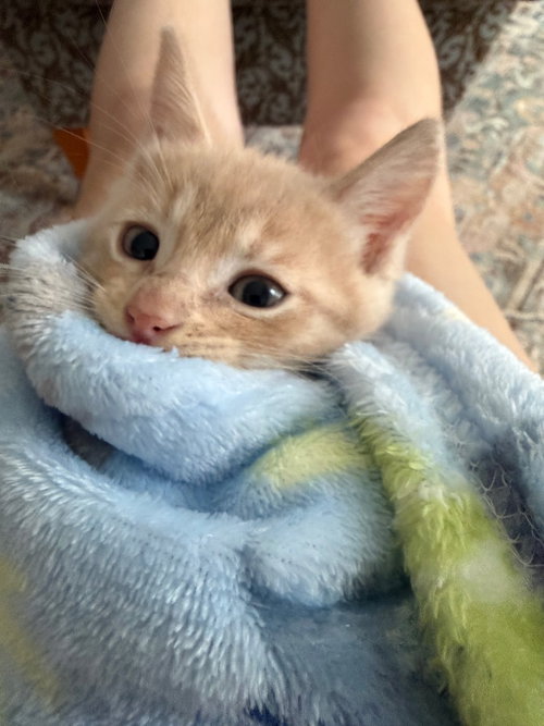 Duncan