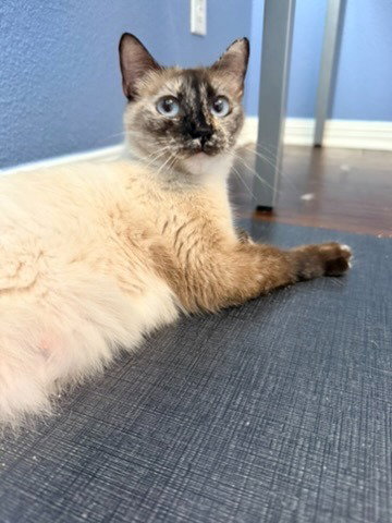 Elara photo 2