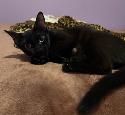Gigi photo 2