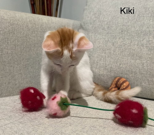 Kiki Girl photo 3