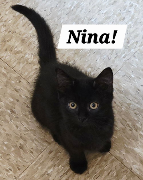 Nina