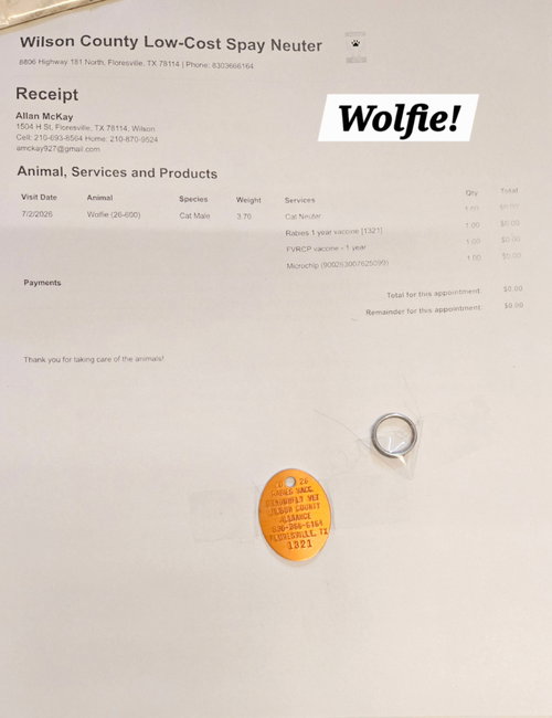 Wolfie photo 3