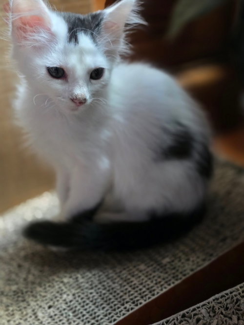 Bean photo 3