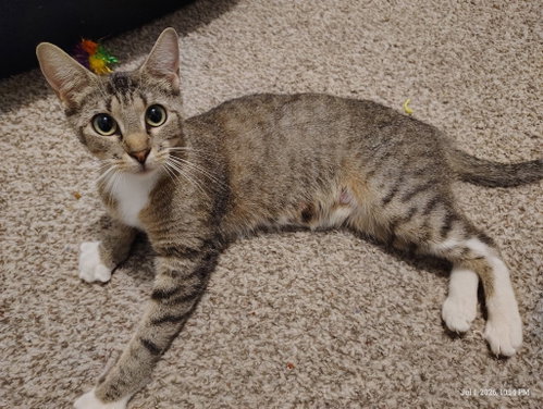 Juno photo 3