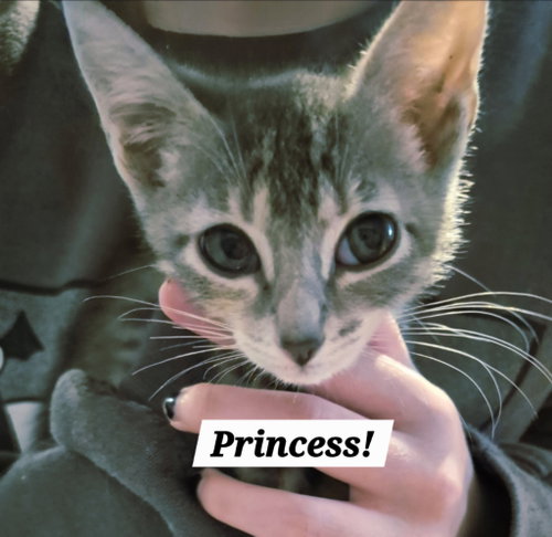 Princess Diana