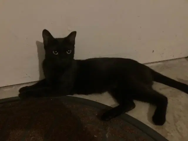 Jett Cl image 2