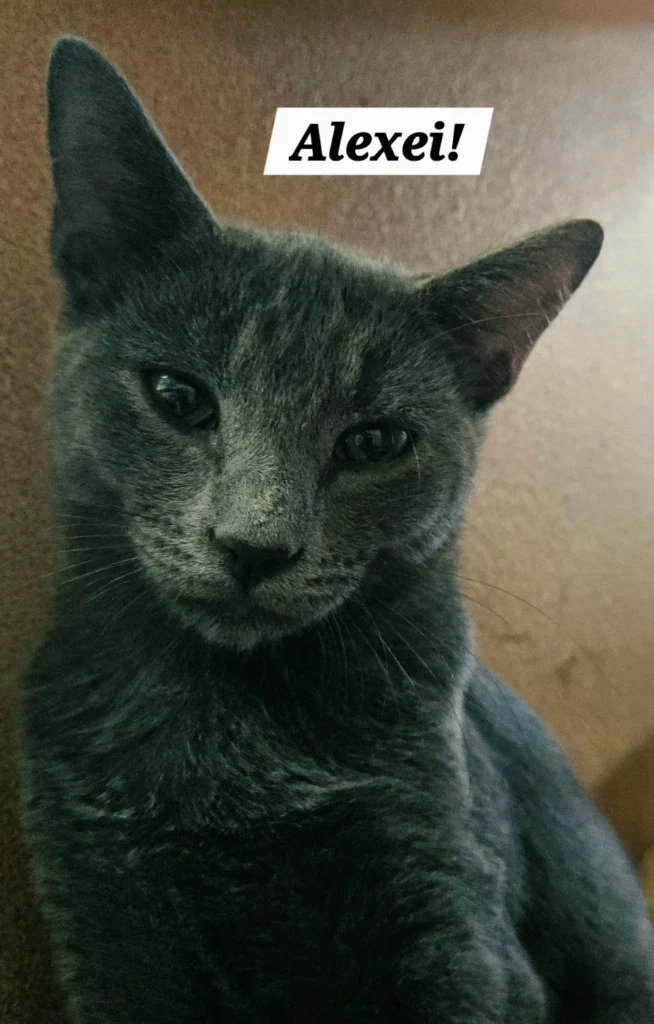 Alexei