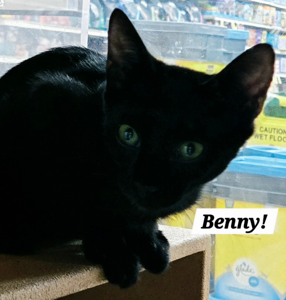 Benny