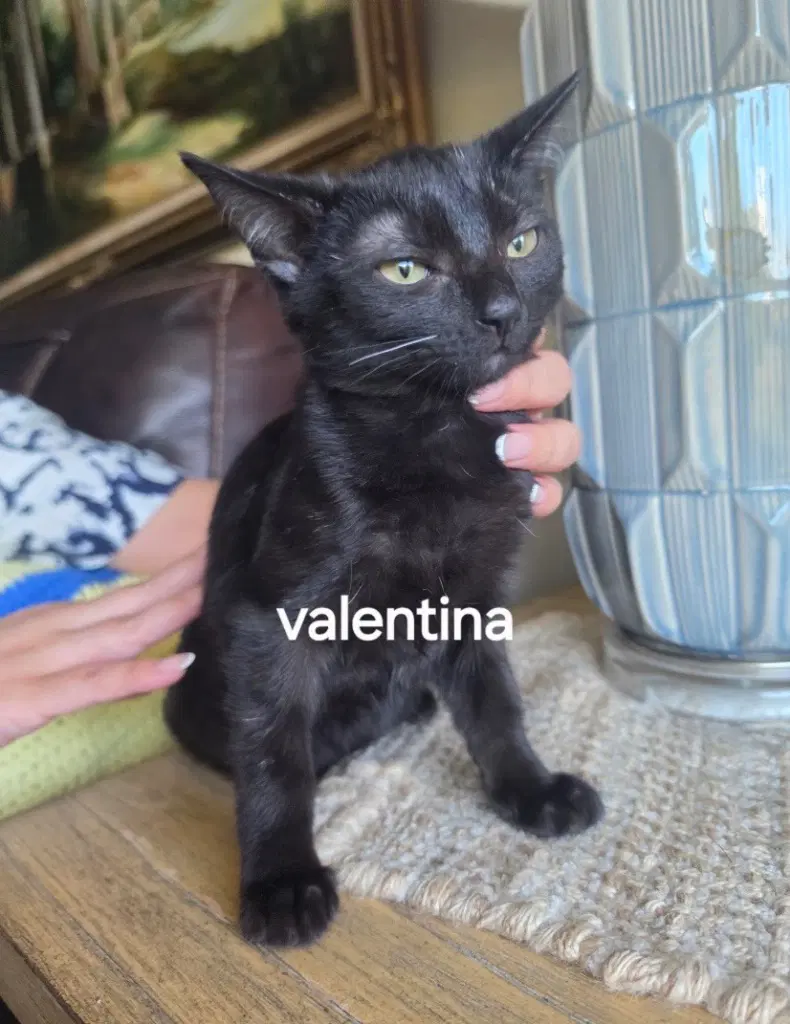 Valentina image 2