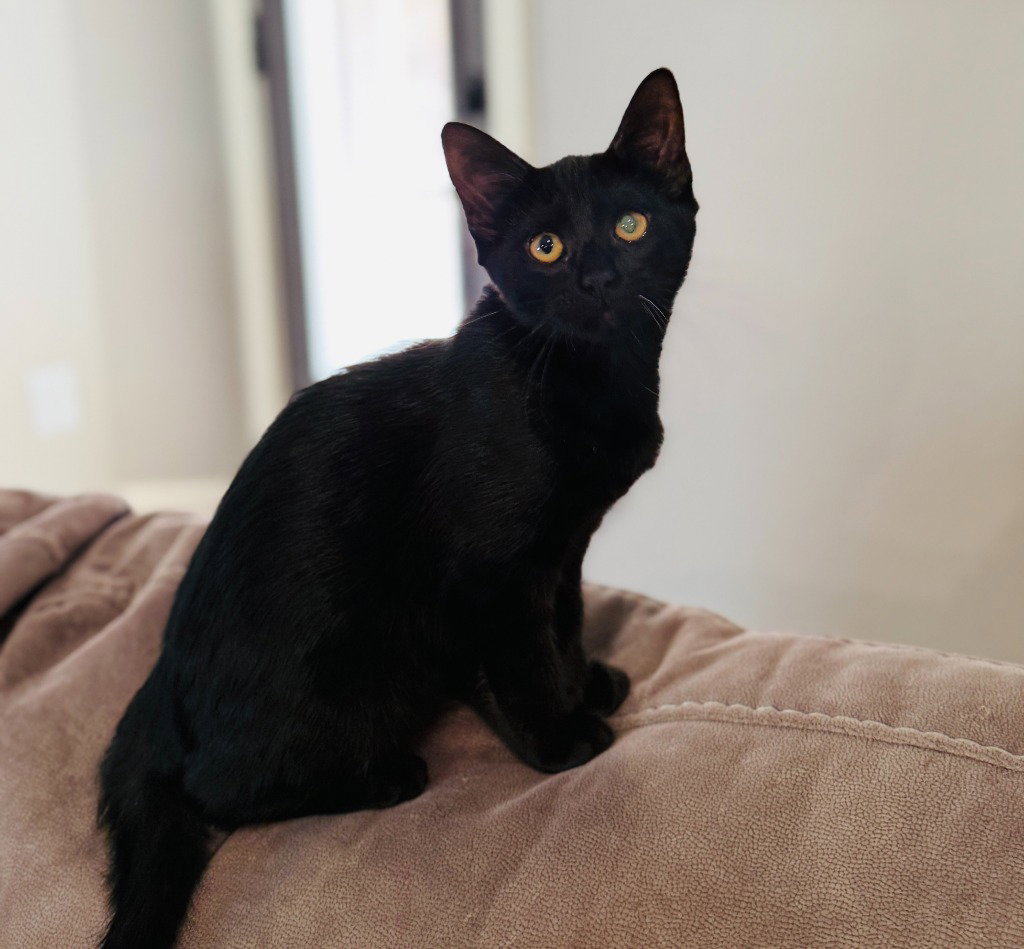 Luna