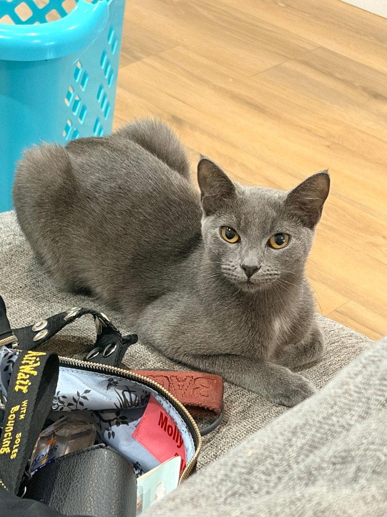 Sam