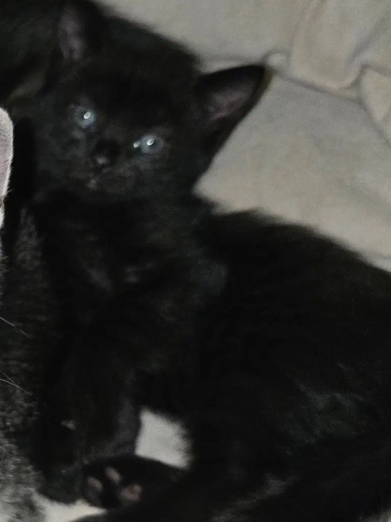 Sabrina image 2