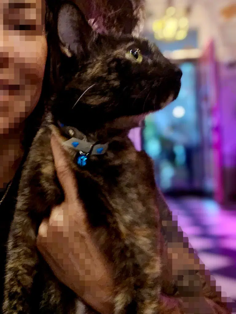 Sherri image 3