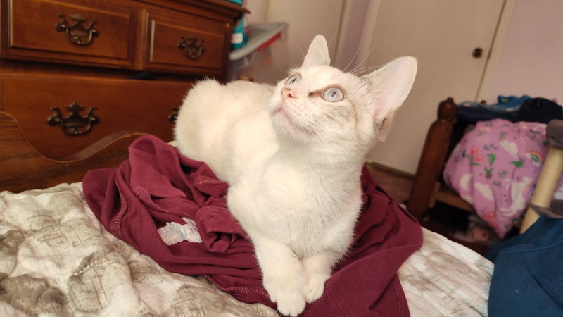 Wynter Snow, photo 2