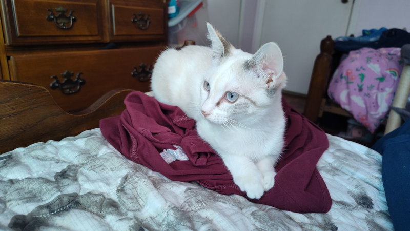 Wynter Snow, photo 3