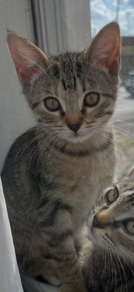 Photo 2 of Emmi