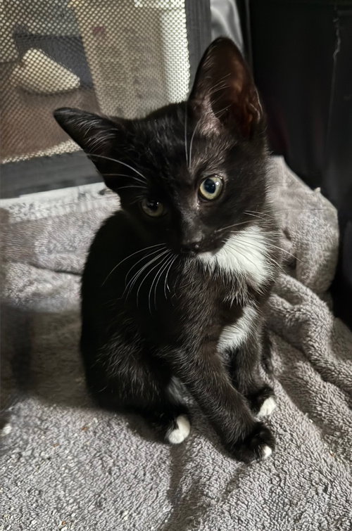 Photo 2 of Twix