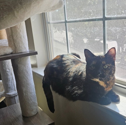 Photo 3 of Lila