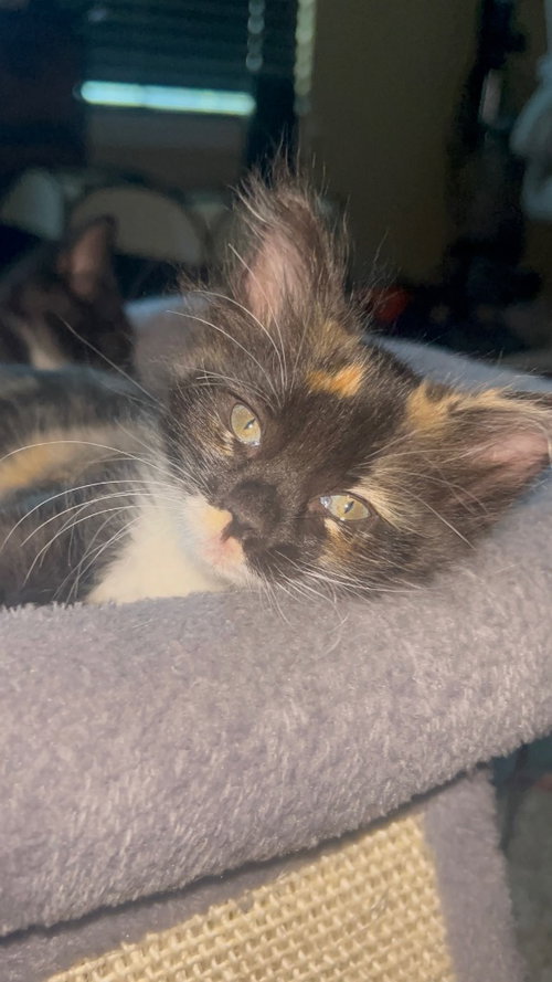 Gwen, photo 2