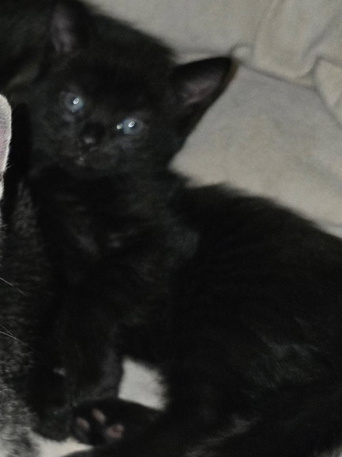 Photo 2 of Sabrina