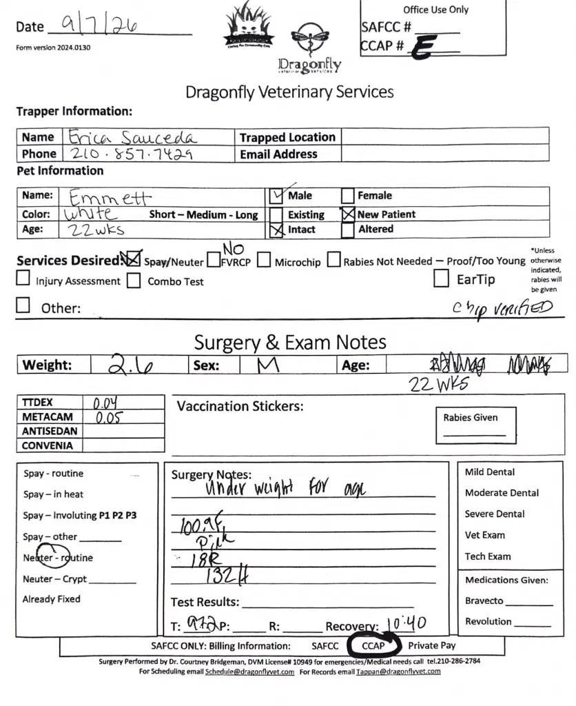 Emmett image 2