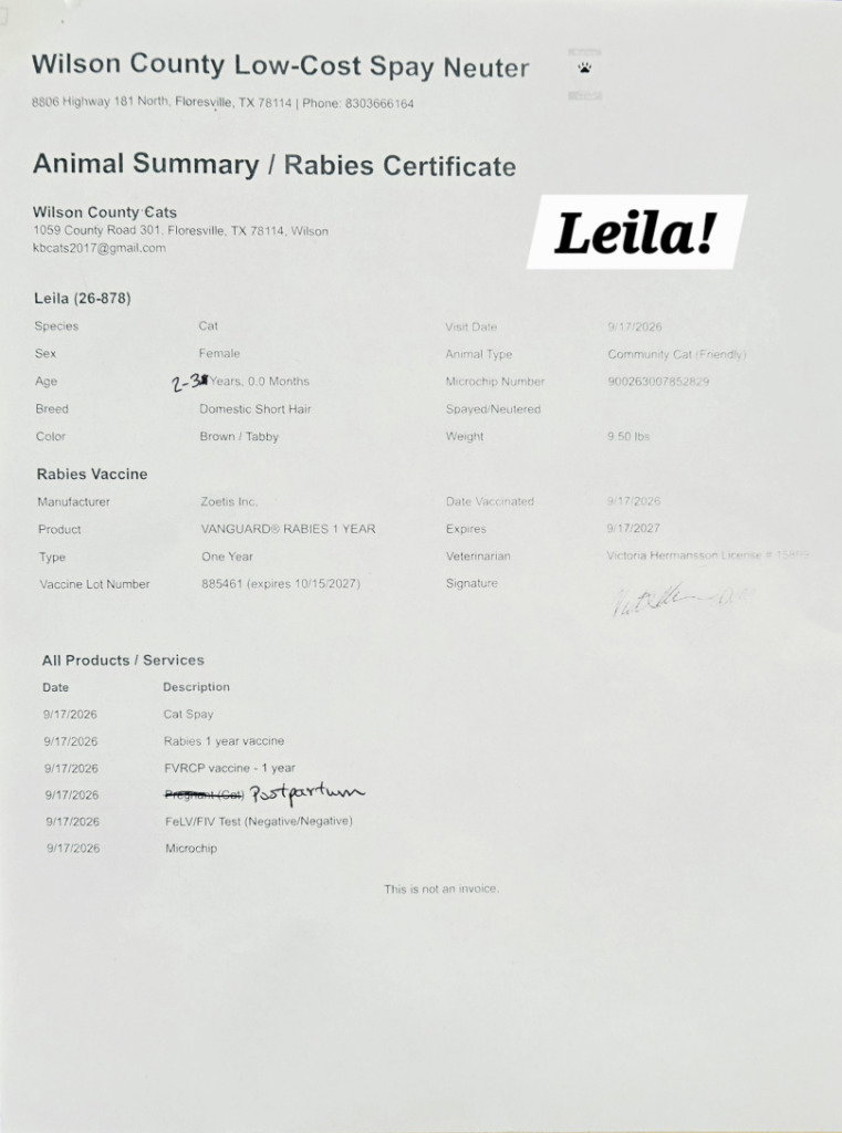 Leila, photo 2