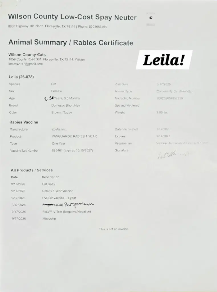 Leila image 2